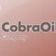 Cobra Oil & Gas